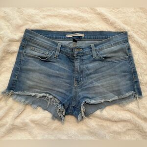 Flying Monkey Denim Shorts